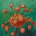 2006       NerveFlower_70x70
